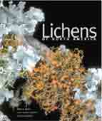 Cover of Lichens of North America