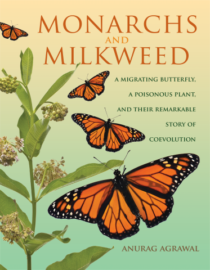 Cover of Monarchs and Milkweed