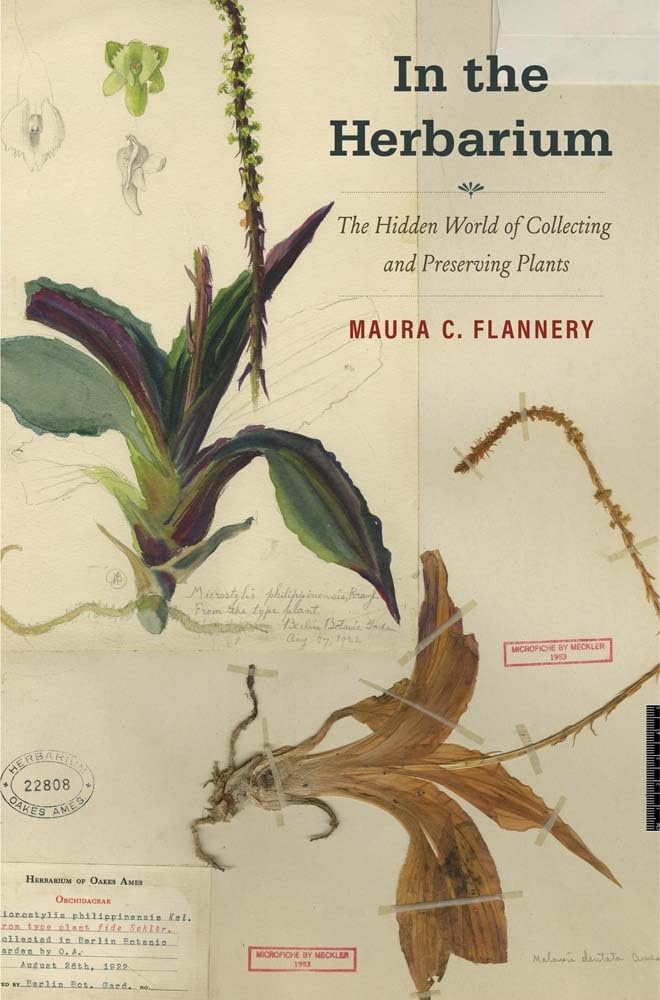 Cover of In the herbarium: The hidden world of collecting and preserving plants