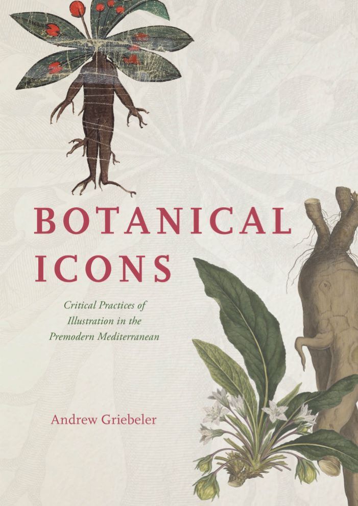 Cover of Botanical icons Critical Practices of Illustration in the Premodern Mediterranean