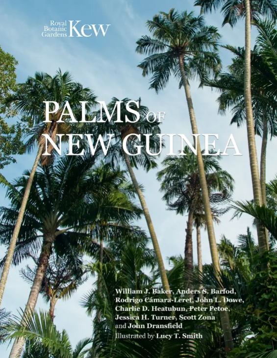 Cover of Palms of New Guinea