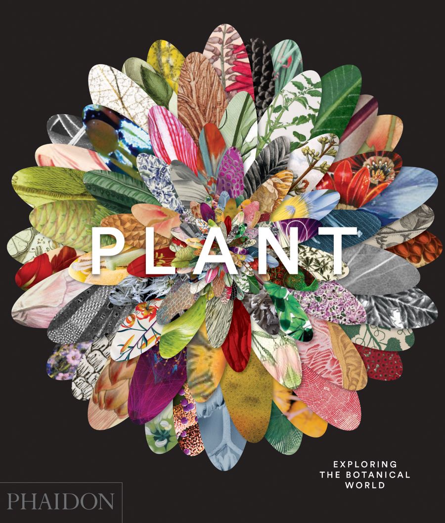 Cover of Flower by Phaidon