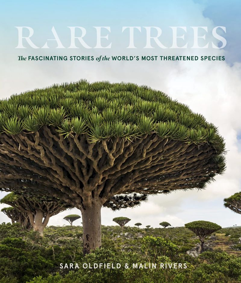 Cover of Rare Trees The Fascinating Stories of the World’s Most Threatened Species