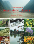 Cover of In the Footsteps of Augustine Henry by Seamus O'Brien