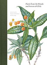 Cover of Plants from the Woods and Forests of Chile