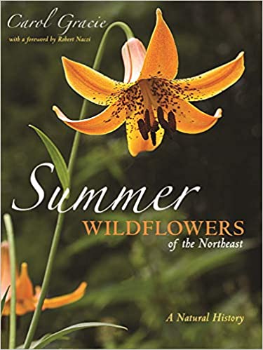 Cover of Summer Wildflowers of the Northeast
